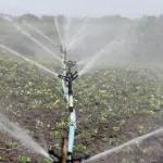 Pompa per impianto di irrigazione, come scegliere il modello più adatto